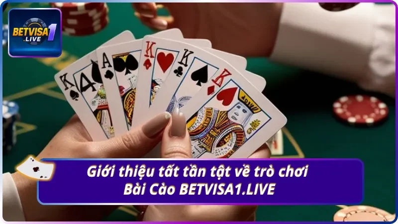 Giới thiệu chung về trò chơi Bài Cào BETVISA1.LIVE