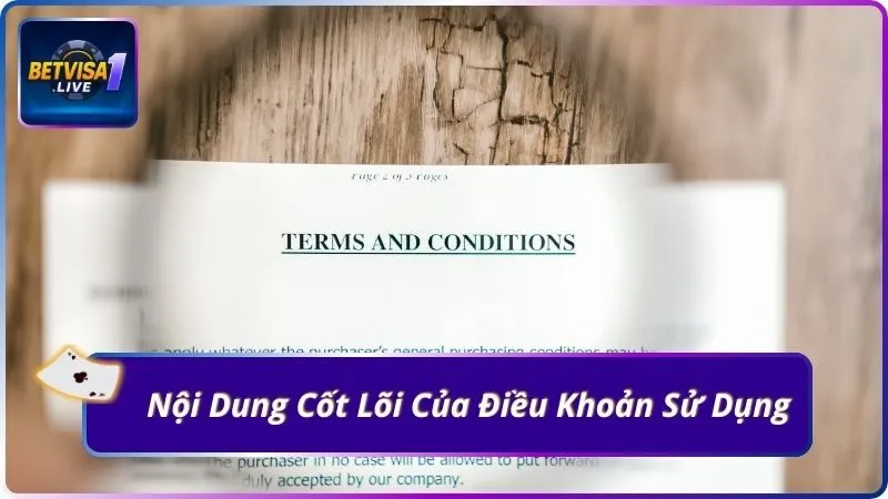 Nội Dung Cốt Lõi Của Điều Khoản Sử Dụng