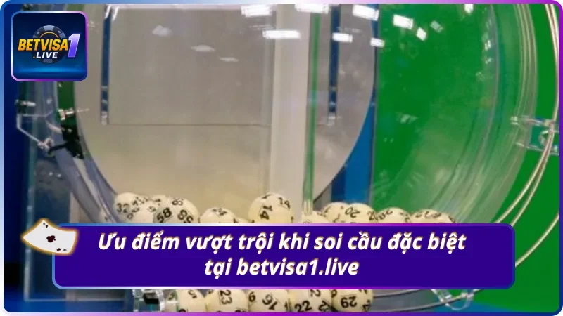 Tính năng nổi bật từ nhà cái Betvisa1.live